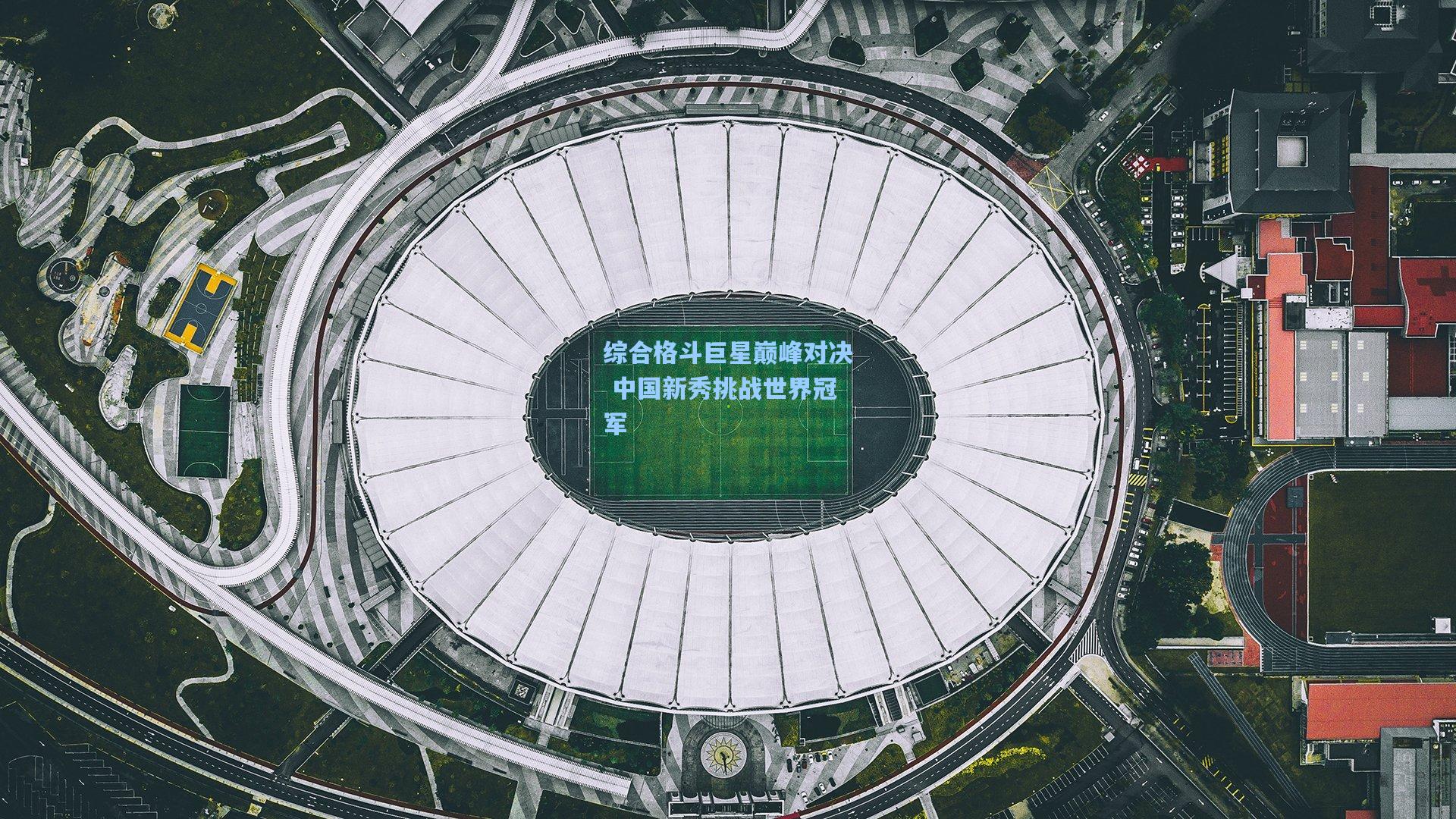 综合格斗巨星巅峰对决 中国新秀挑战世界冠军