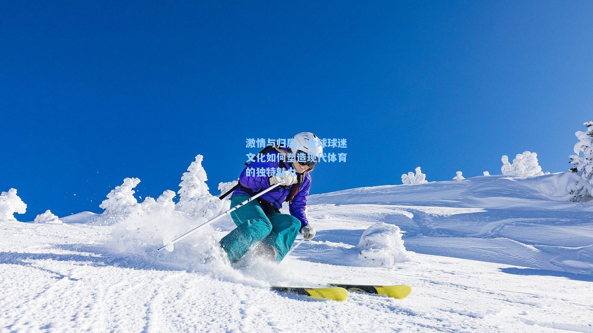 激情与归属，全球球迷文化如何塑造现代体育的独特魅力